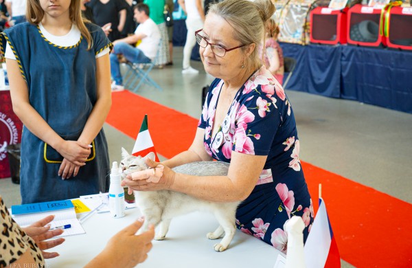Tarptautinė kačių paroda sutraukė kelis šimtus įvairiausių veislių kačių