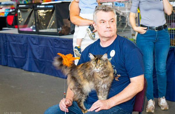 Tarptautinė kačių paroda sutraukė kelis šimtus įvairiausių veislių kačių