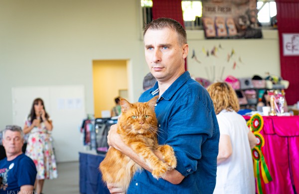 Tarptautinė kačių paroda sutraukė kelis šimtus įvairiausių veislių kačių