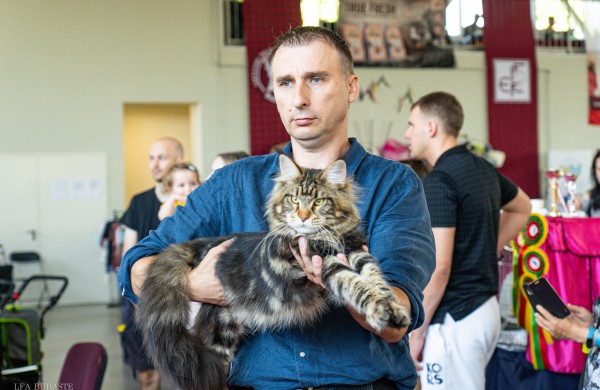 Tarptautinė kačių paroda sutraukė kelis šimtus įvairiausių veislių kačių