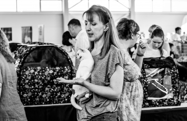 Tarptautinė kačių paroda sutraukė kelis šimtus įvairiausių veislių kačių