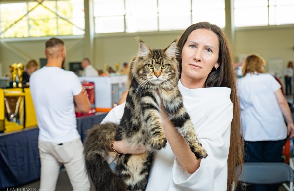Tarptautinė kačių paroda sutraukė kelis šimtus įvairiausių veislių kačių