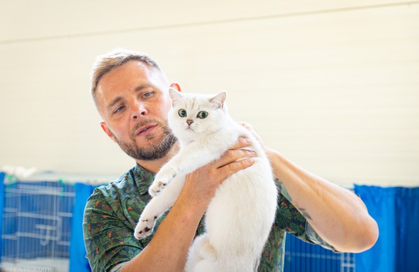 Tarptautinė kačių paroda sutraukė kelis šimtus įvairiausių veislių kačių