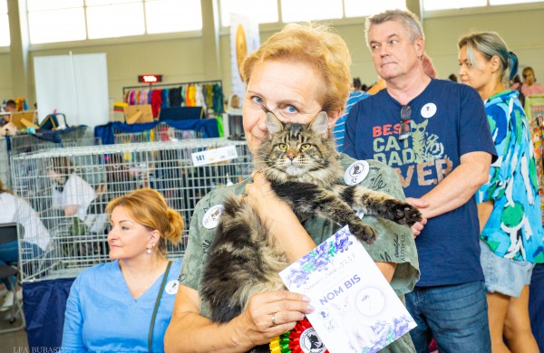 Tarptautinė kačių paroda sutraukė kelis šimtus įvairiausių veislių kačių