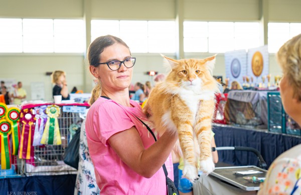 Tarptautinė kačių paroda sutraukė kelis šimtus įvairiausių veislių kačių