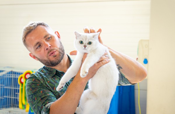 Tarptautinė kačių paroda sutraukė kelis šimtus įvairiausių veislių kačių