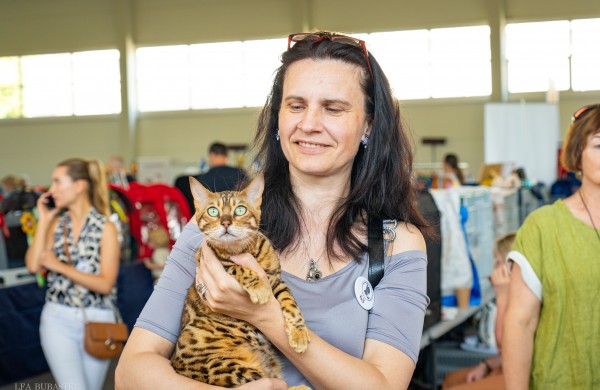 Tarptautinė kačių paroda sutraukė kelis šimtus įvairiausių veislių kačių