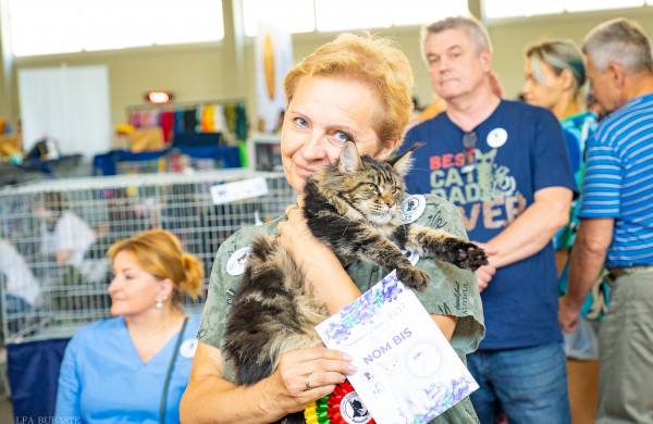 Tarptautinė kačių paroda sutraukė kelis šimtus įvairiausių veislių kačių