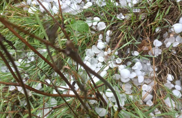 Jonavos rajone negailestingai plakė kruša