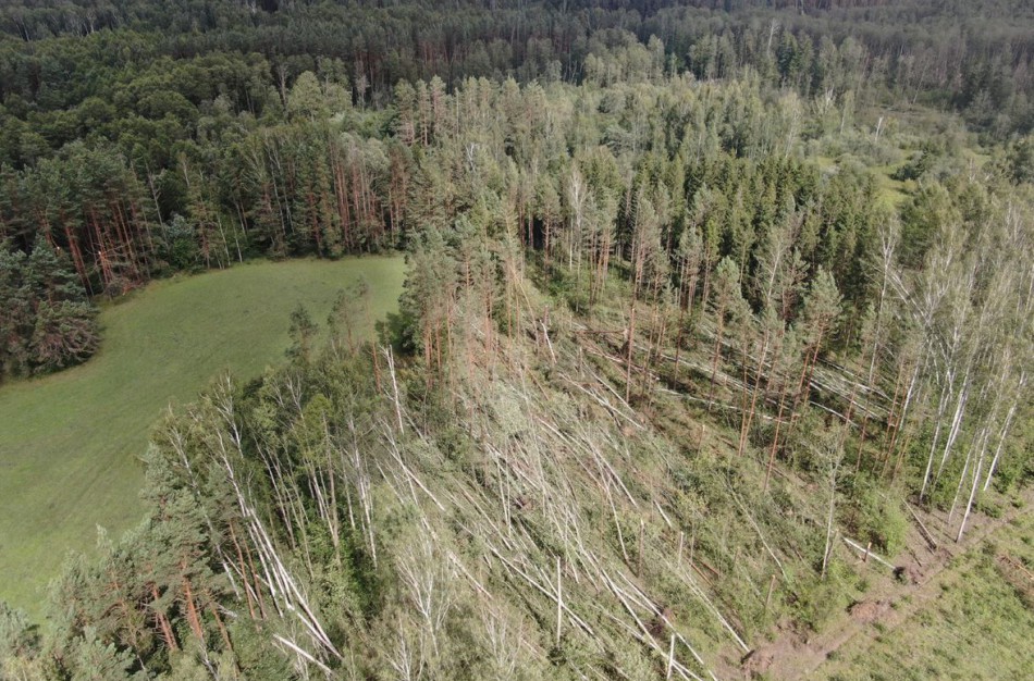 Lietuvą talžiusi audra miškuose nuvertė virš 50 tūkst. medžių