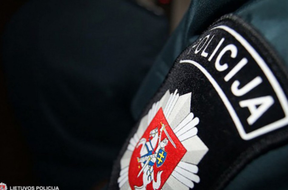 Vagišiai ruošiasi žiemai? Pasisavintos malkos