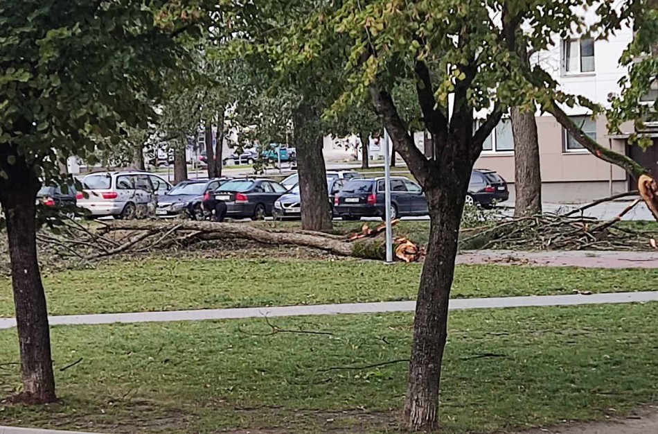 Jonavoje siautėjo gūsingas vėjas – tarnybos dirbo be atokvėpio