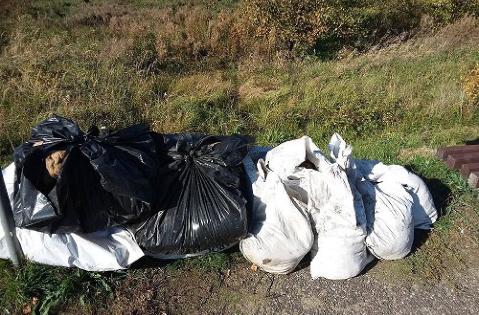 Atliekos pakelėse – kelininkai dalinasi netikėčiausių radinių istorijomis