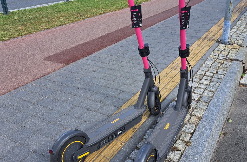 Spalio 15-ąją minima Pasaulinė baltosios lazdelės diena