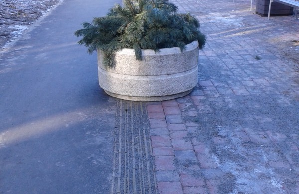 Spalio 15-ąją minima Pasaulinė baltosios lazdelės diena