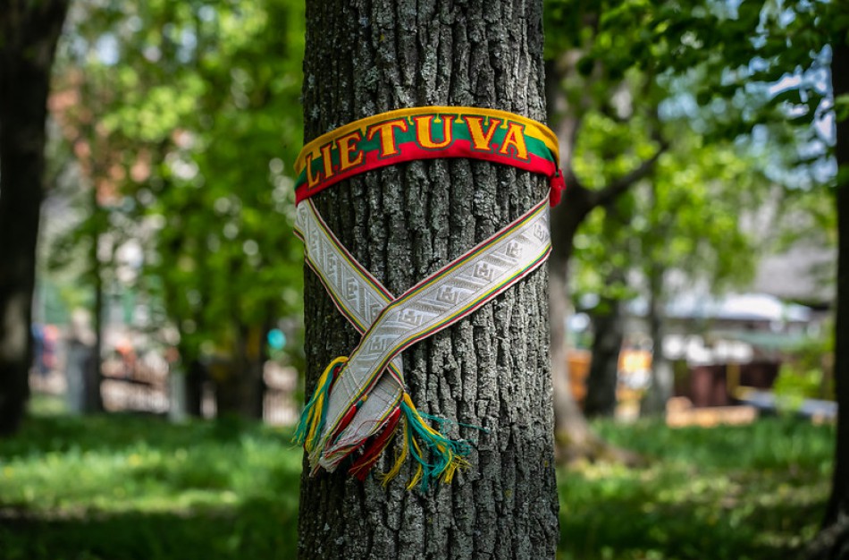 Seimo Pirmininkė: „Kuo stipresnė savivalda, tuo stipresnė Lietuva“