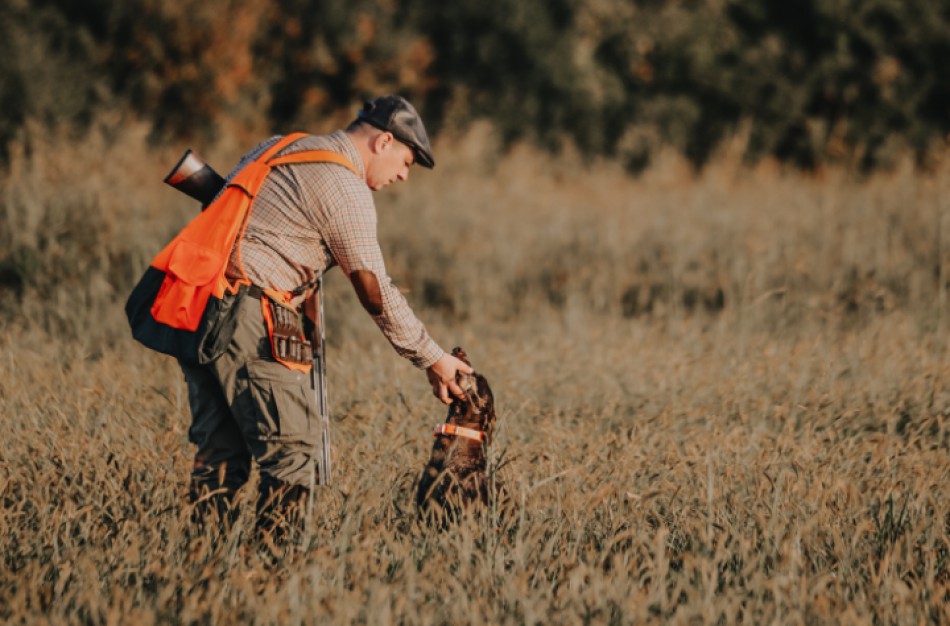 Medžioklės su varovais sezono pradžia: ką svarbu žinoti jos dalyviams?