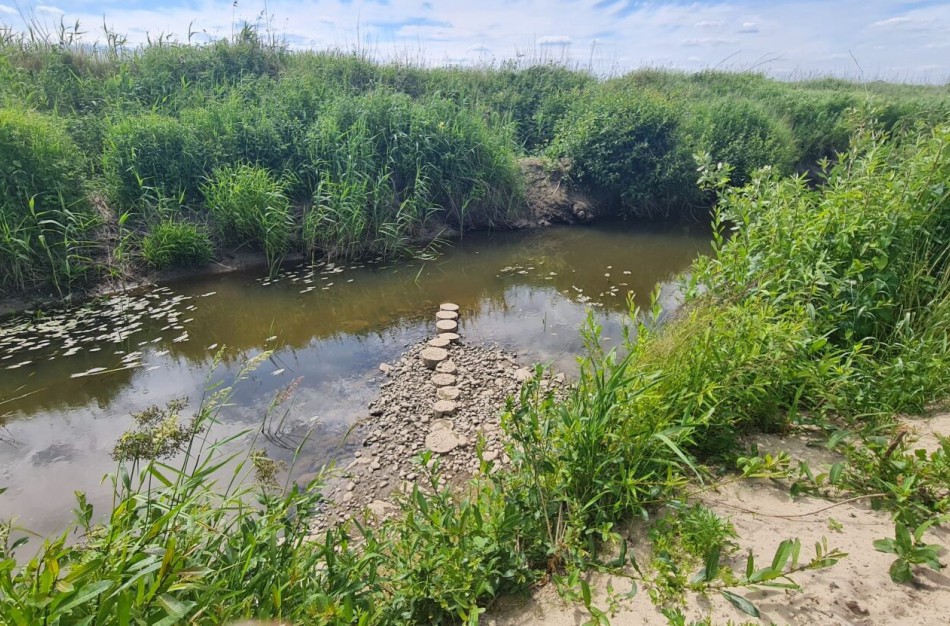 Upių ir upelių gaivinimas: ką siūlo specialistai?