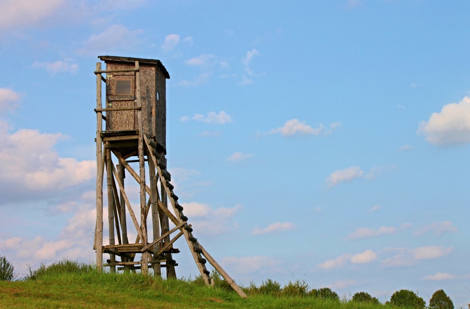 Medžiotojų globėjo šv. Huberto dieną prisiminkime medžioklės tradicijas, kurios atspindi pagarbą gamtai