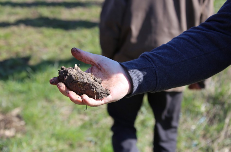 LR Žemės ūkio rūmai: Viena Lietuva – skirtingas žemės mokestis