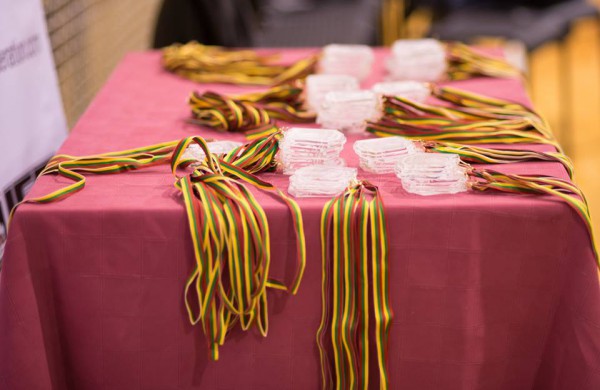 Jaunųjų jonaviečių kovos dziudo ir grapplingo varžybose