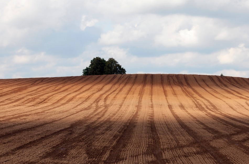 Baigiasi tręšimo mėšlu ir srutomis laikotarpis