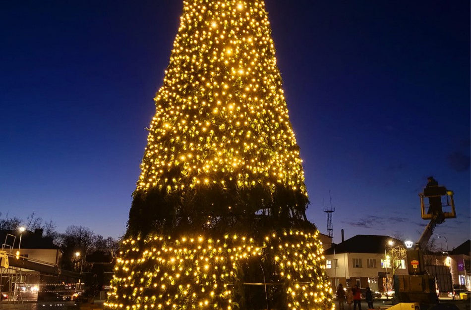 Ryškėja pirmieji šių metų Jonavos eglutės kontūrai