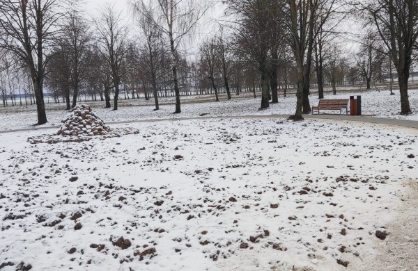 Įgyvendintas dar vienas Dalyvaujamojo biudžeto projektas