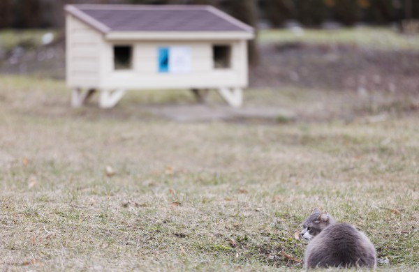 Jonavos miesto seniūnė E. Pinkevičienė: miestas turi būti įvairus