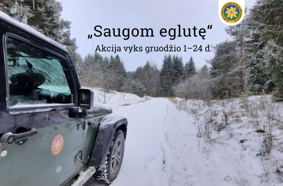 Gruodį vyks tradicinė akcija „Saugom eglutę“