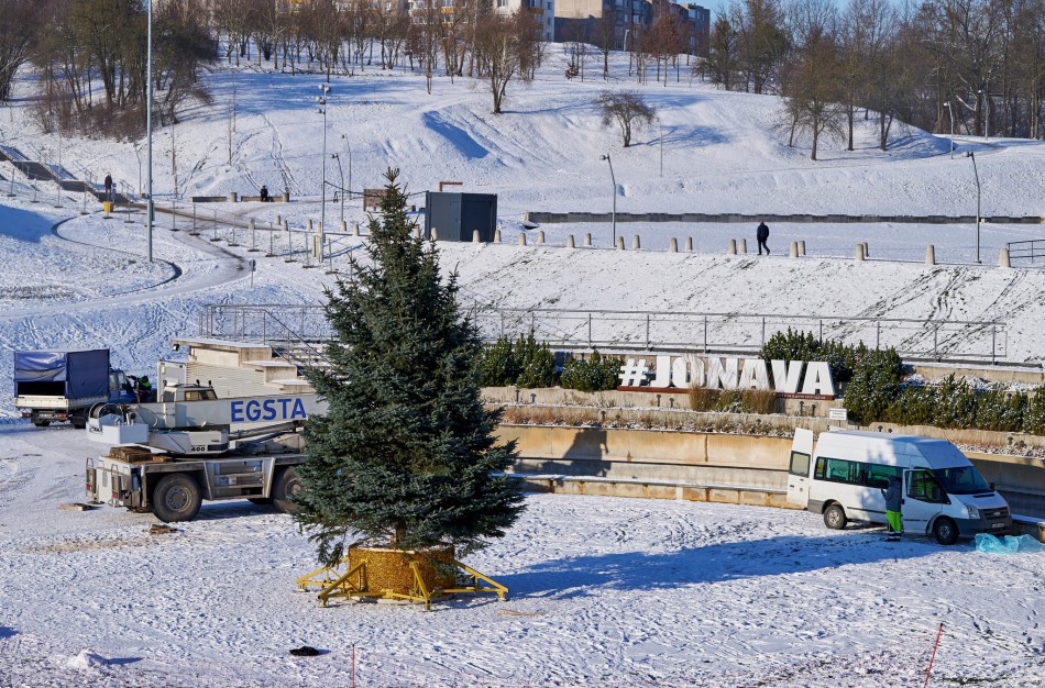 Šeimos iš Kulvos miestui padovanota eglė jau spėjo pavergti ne vieno jonaviečio širdį