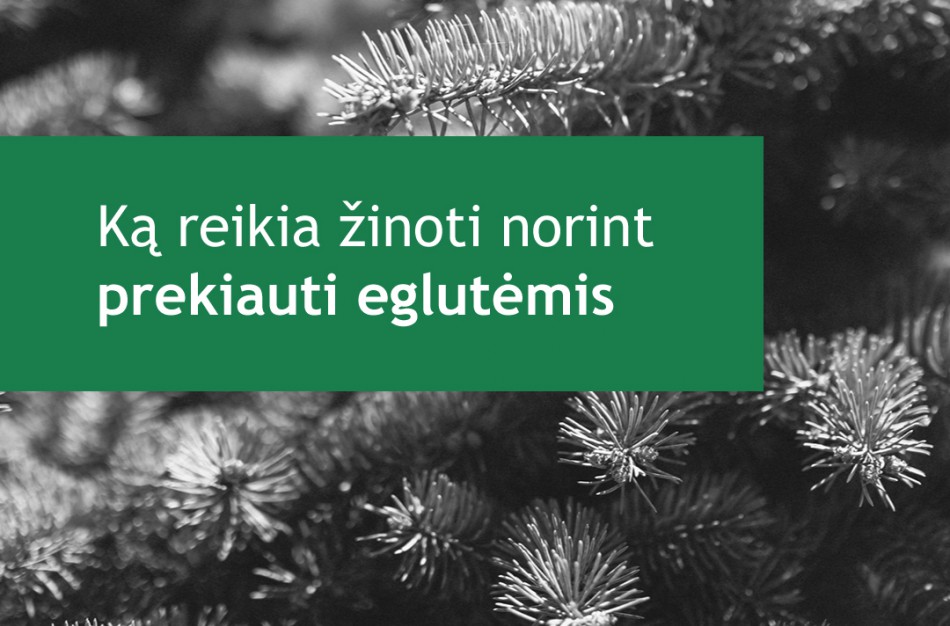 VMI: ką reikia žinoti norint prekiauti eglutėmis?