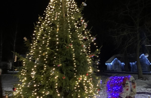 Ručiūnuose įžiebta Kalėdų eglė