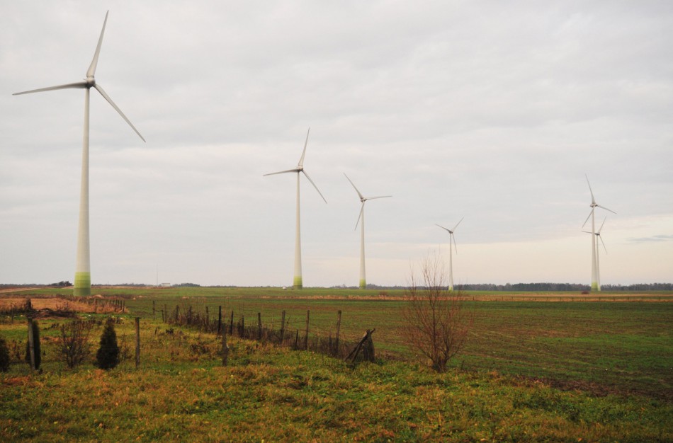 Nustatyti aiškūs kriterijai, kaip sumažinti vėjo elektrinių neigiamą poveikį paukščiams ir šikšnosparniams