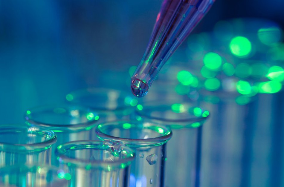 Nacionalinio maisto ir veterinarijos rizikos vertinimo instituto mėginių tyrimų atlikimo procesuose nustatytos galimos korupcijos rizikos