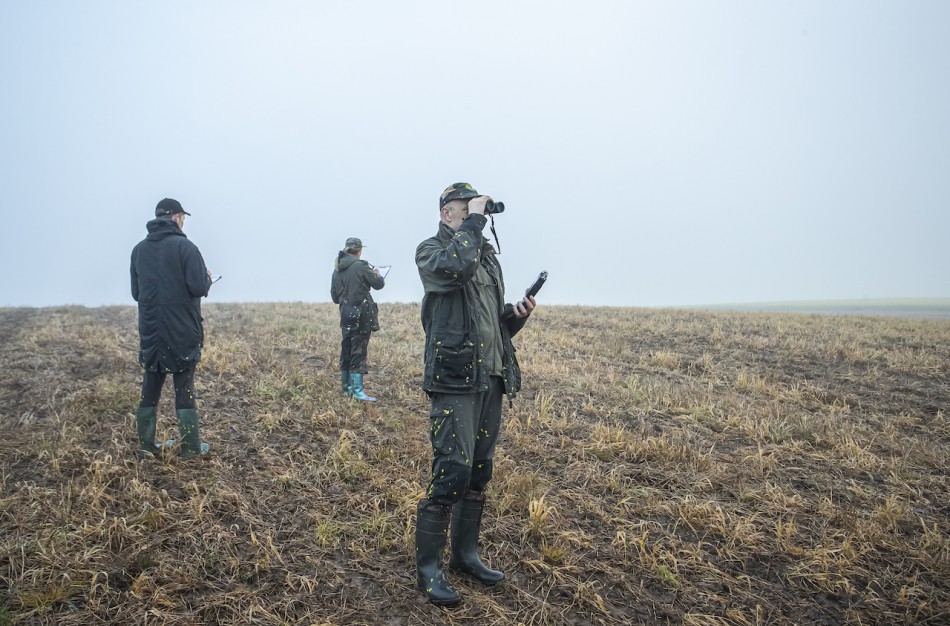 Paaiškino, dėl ko iš tiesų sumažėjo paukščių populiacija Lietuvoje