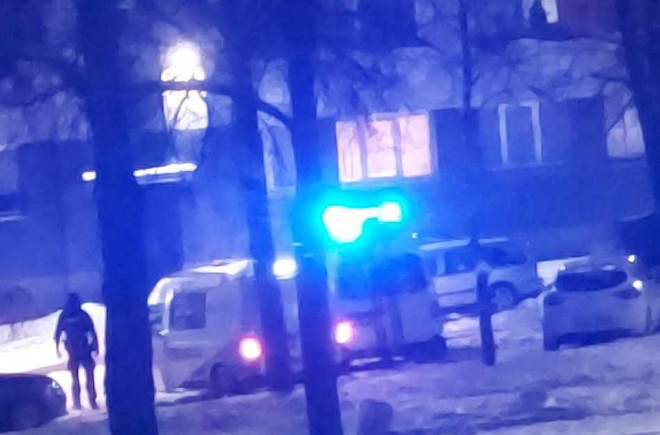 Pranešus apie moters rėkimą, išsiųstos ir policijos pareigūnų, ir medikų pajėgos