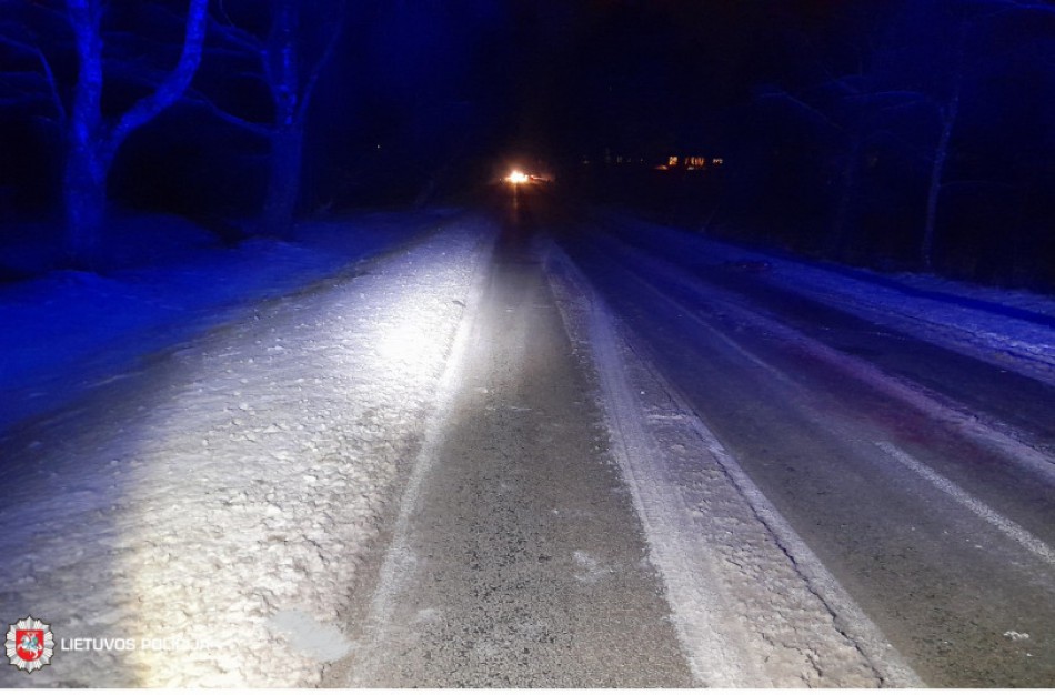 Rukloje automobilis partrenkė stirną 