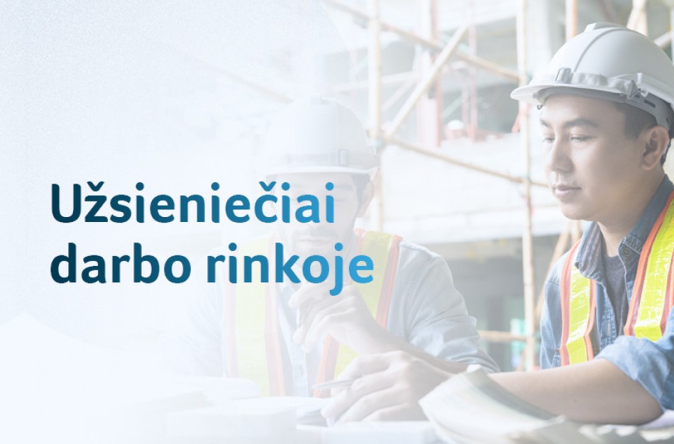 M. Navickienė: būtina valdyti imigraciją į Lietuvą