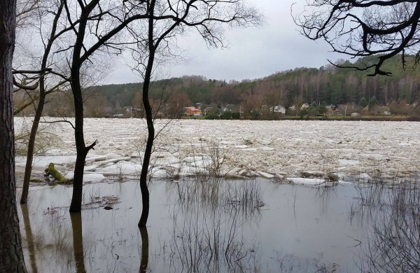Neryje kyla vanduo, užsemtos kelios sodų bendrijos, automobiliai