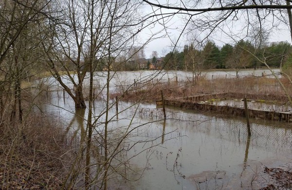 Neryje kyla vanduo, užsemtos kelios sodų bendrijos, automobiliai