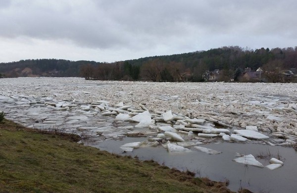 Neryje kyla vanduo, užsemtos kelios sodų bendrijos, automobiliai