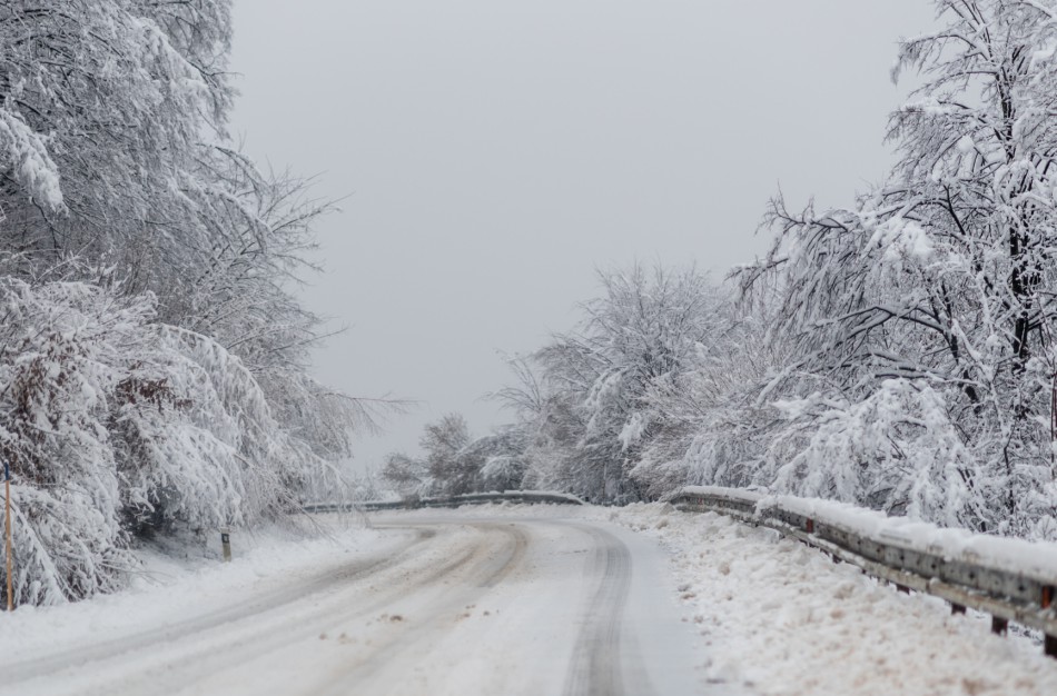 Išlikite budrūs keliuose: tamsiuoju metų laiku padaugėja autoįvykių su laukiniais gyvūnais