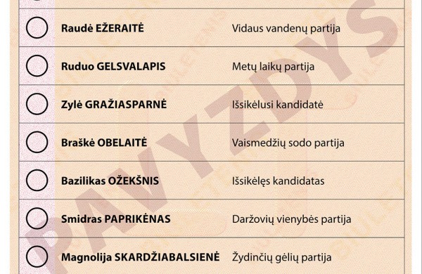 Likus 100 dienų iki Prezidento rinkimų VRK skelbia balsavimo biuletenio pavyzdį
