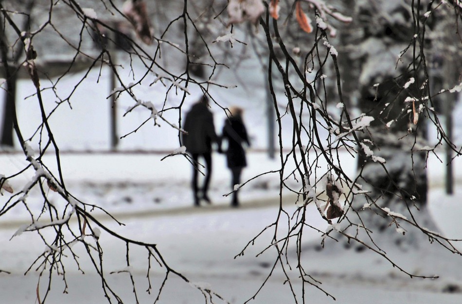 NVSC: pirmą kartą pasiskiepyti nuo erkinio encefalito geriausia žiemą