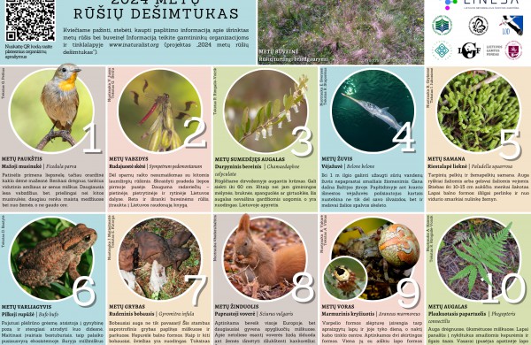 Skelbiamas Lietuvos 2024 metų rūšių dešimtukas
