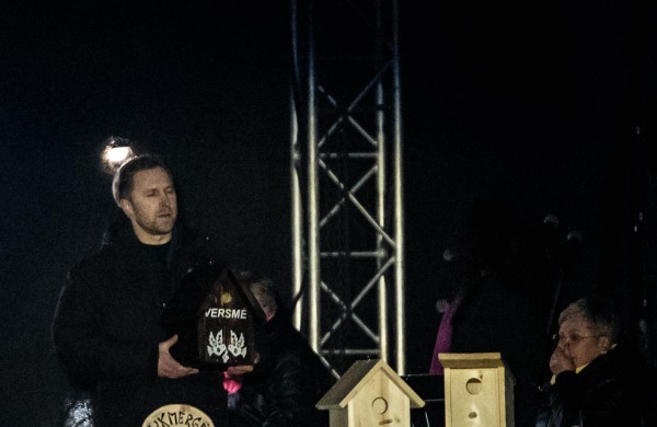 Instaliacija „Kad giria žaliuotų, kad paukščiai čiulbėtų“