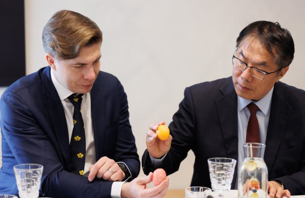 Tainanas tapo nauju Jonavos miesto partneriu