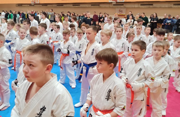 Jonavos „Kumite“ sportininkų triumfas Vilniuje