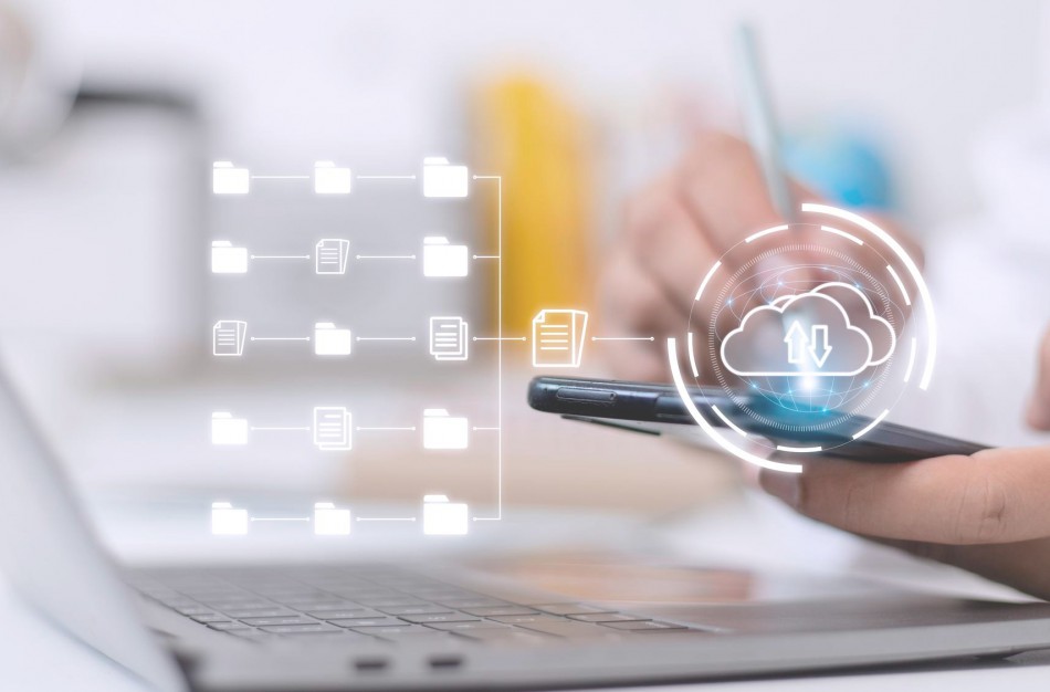 Vykdomi gyventojų (namų ūkių) statistiniai tyrimai